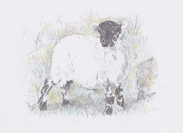 Dartmoor Lamb