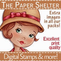 Paper Shelter