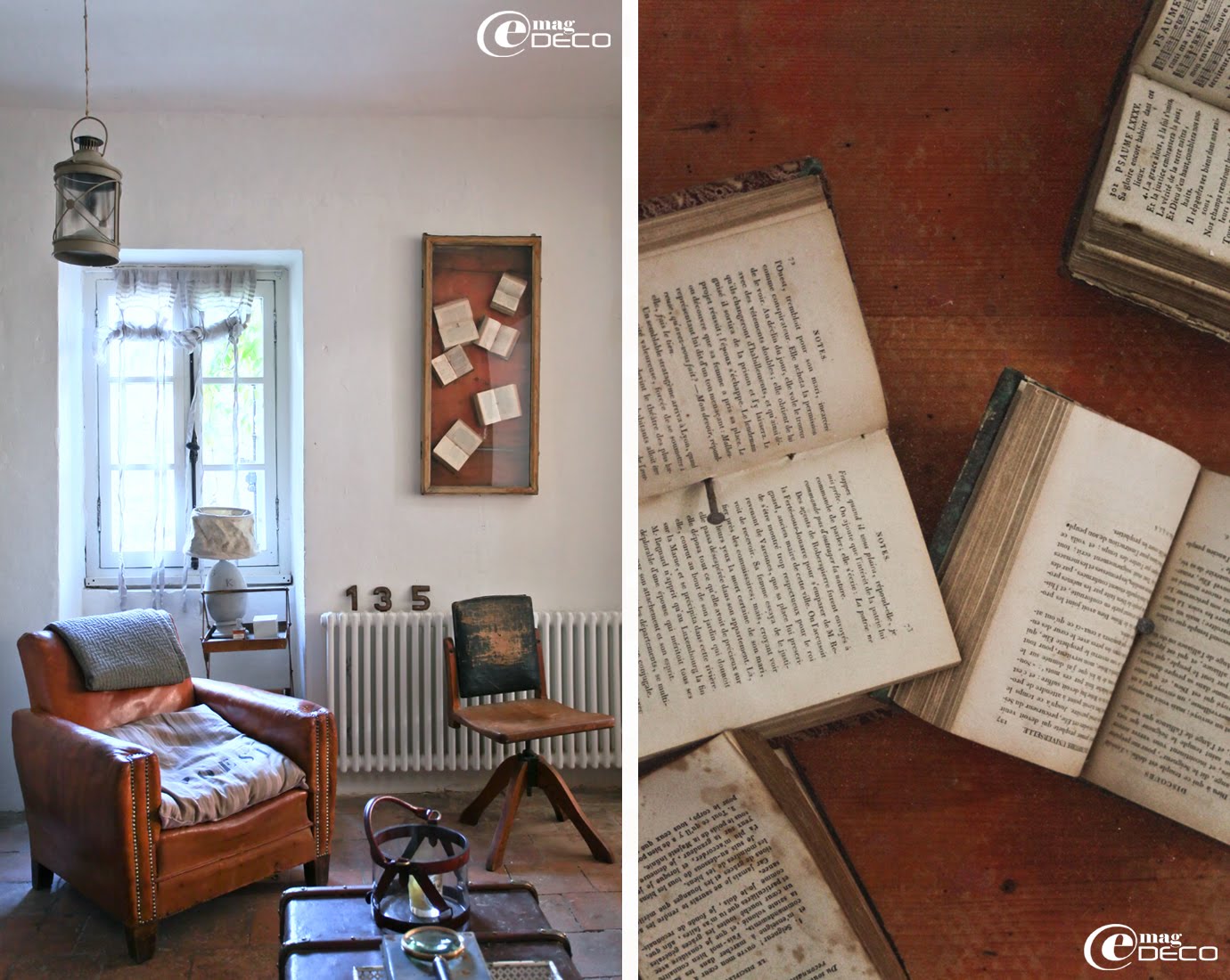 Ancienne vitrine de magasin détournée en tableau présentant une collection de bibles anciennes