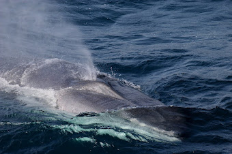 Bay of Biscay 2012