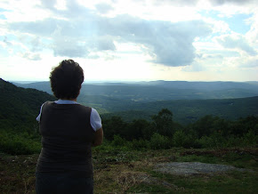 State Forest, Pittsfield, MA