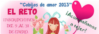 COBIJOS DE AMOR 2013