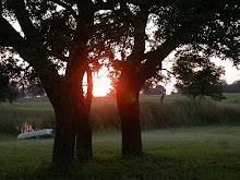 Sunrise at Hummingbird Farms