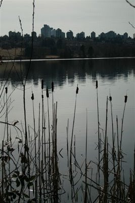 View across Deer Lake in Burnaby BC