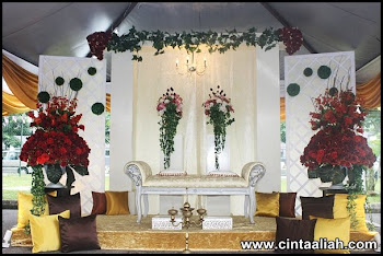 Pelamin CINTA