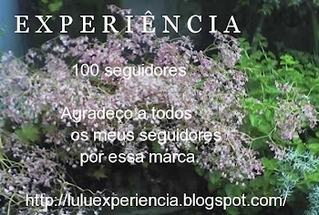 EXPERIÊNCIA - 100 Seguidores