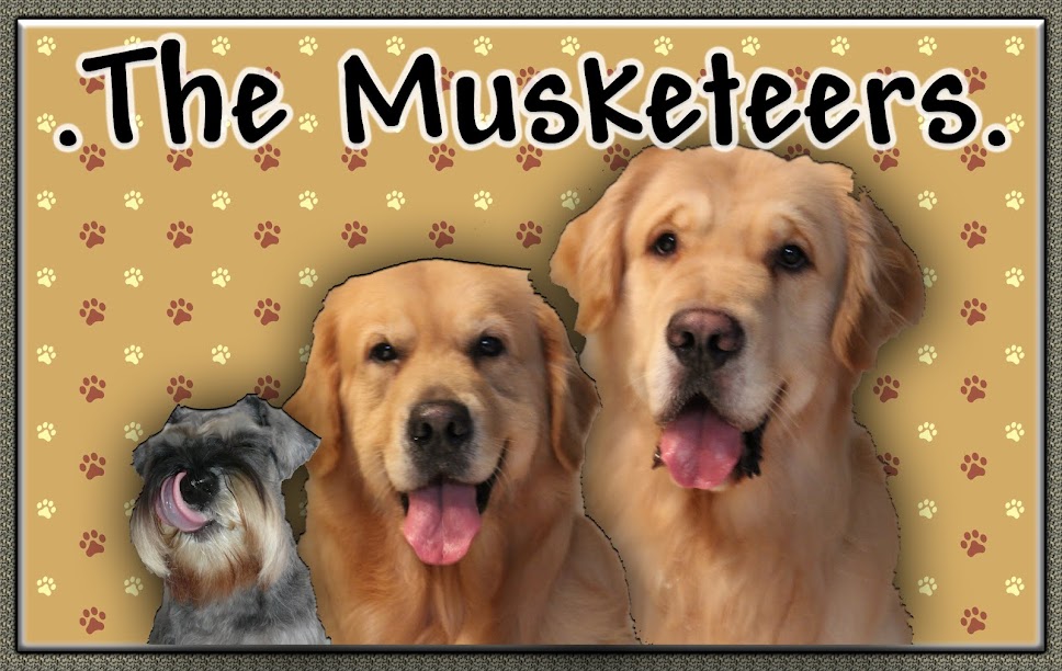 The Musketeers