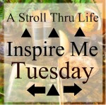 Inspire Me Tuesdays