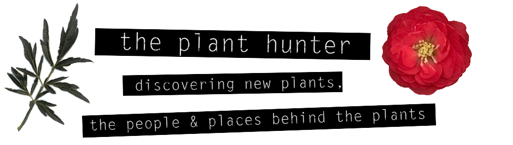 The Plant Hunter