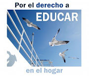 Manifestación de blogs por el derecho a educar en el hogar