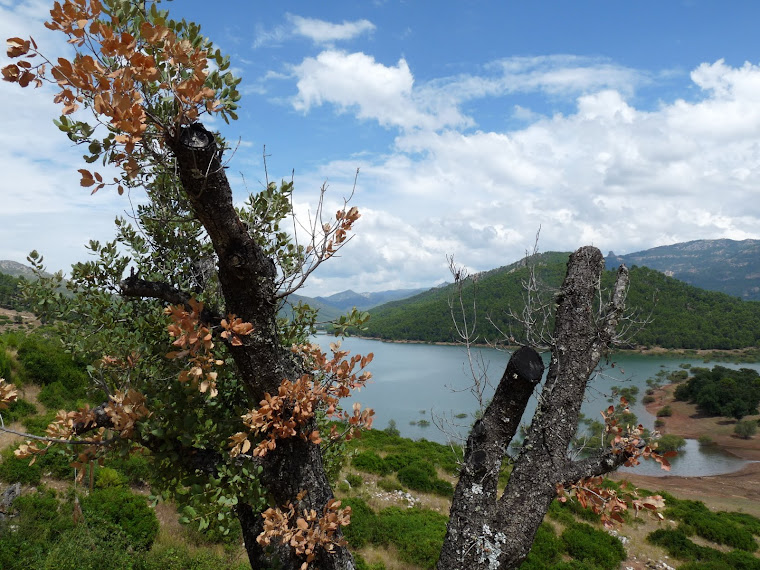 Sierra de Cazorla y Segura (Jaen)