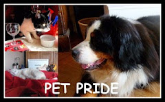 Sunday Pet Pride