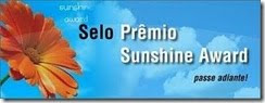 Premios "Sol brillante"