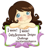 Winner at Crafty Sentiments Designs