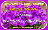 Wyróżnienie