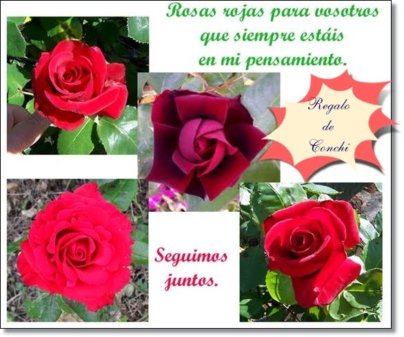 Rosas con Mensaje. Regalo de Conchi