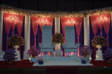 Pelamin Roman