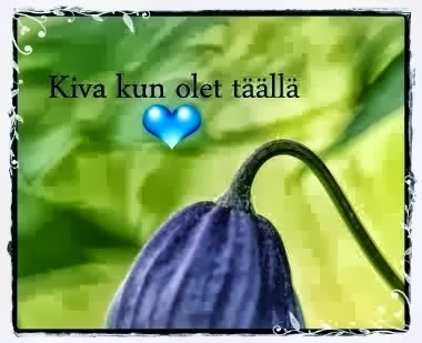 Kiitos Masha - Pieni punainen talo