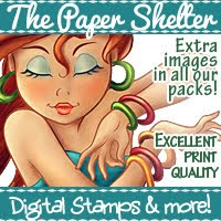 The Paper Shelter