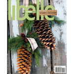 Libelle Cover Photo and Work  By Michelle Edwards