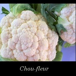 ChouFleur