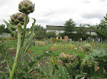 The plot - July 2009