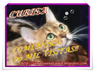 http://3.bp.blogspot.com/_vzrlnu76oJw/TBwIxErsssI/AAAAAAAADBU/fXxYP_SZFgk/s320/Bengal-Cat-olho.jpg