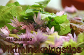 Viktminskningstips!!