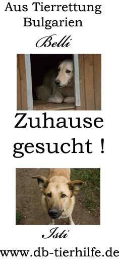 ZUHAUSE GESUCHT für Belli und Isti