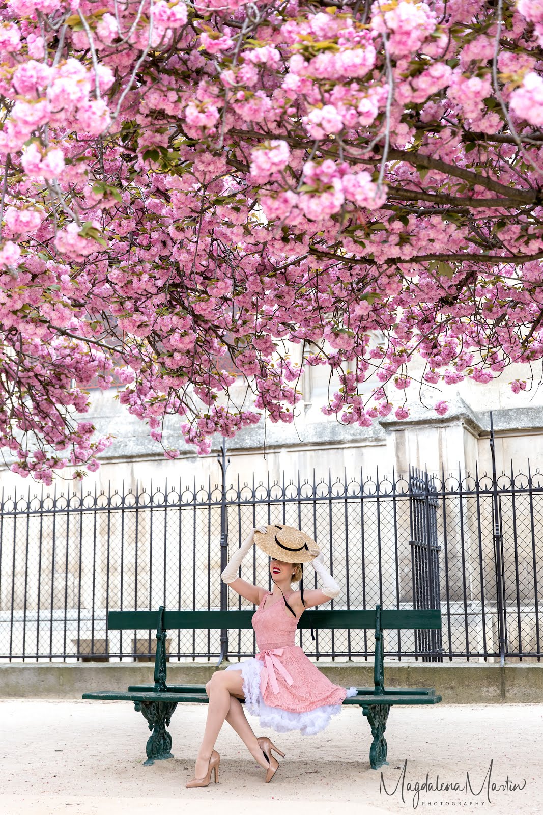 CHERRY BLOSSOM IN PARIS