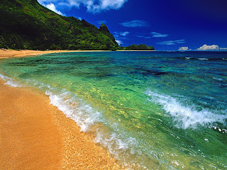 hawaii beach