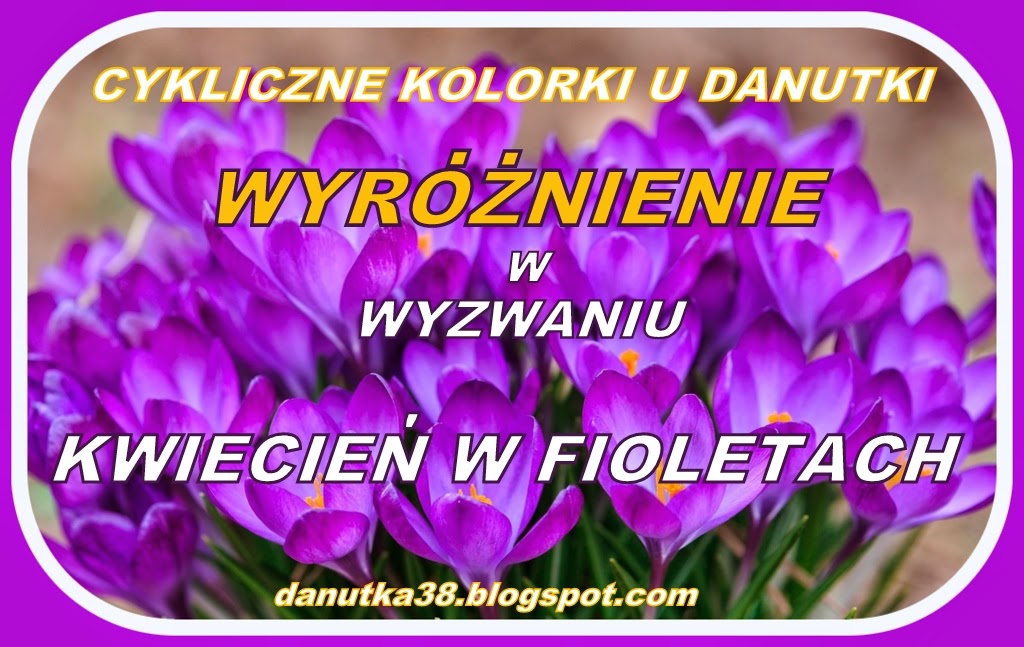 Wyróżnienie u Danutki