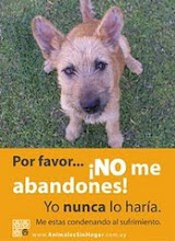 Amo a los Animales y Estoy en contra del Abandono.