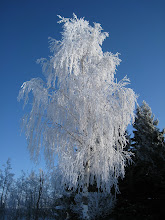 Vinter