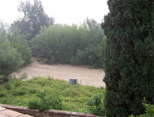 Paseos por Córdoba