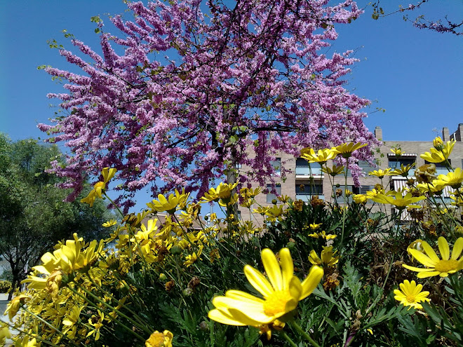 Sant Feliu DE Llobregat (Barna)