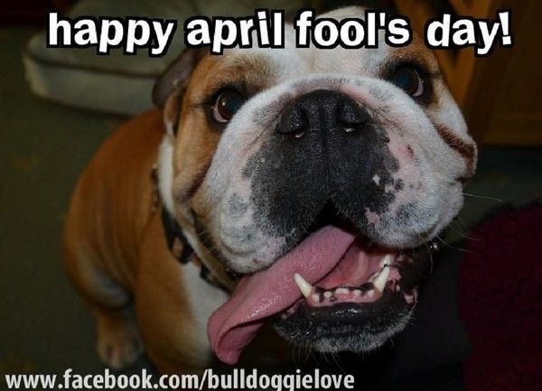 "Happy April Fool's Day!" ...