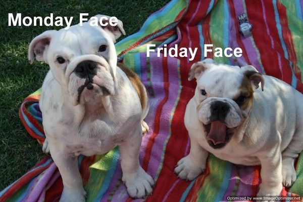 "Monday Face" vs "Friday Face"...