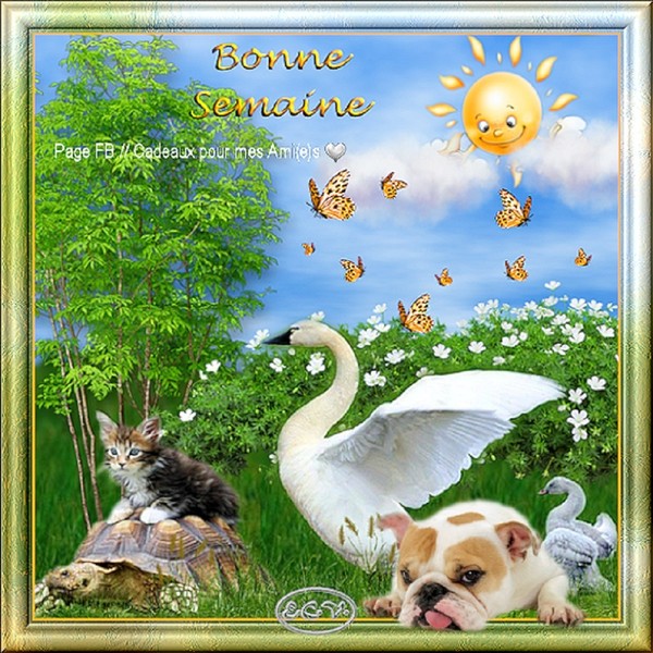 "Bonne semaine" - Sous le soleil   ...