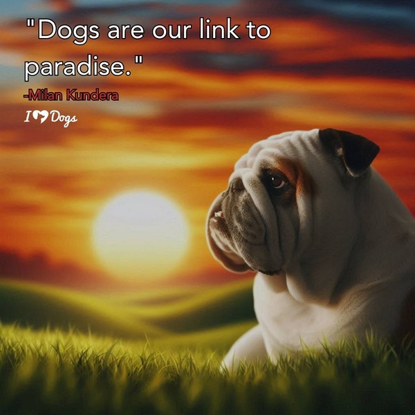 "Dogs are our link to paradise"   ...