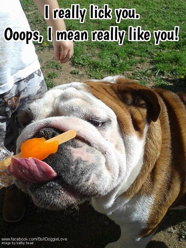 "I really lick you. Ooops, I mean really like you!" ...