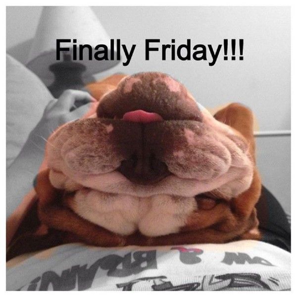 "Finally Friday!!!" - Soulagé(e)...