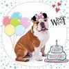 "Woof Woof Happy Birthday" - Joie et bonne humeur ...