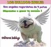 "Los bulldog ingles son angeles regordetes de ..."...