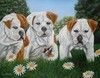 Par Jerry GRAHAM  "Three Bulldog Pups" ... 