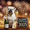 "Happy New Year 2025"   ...