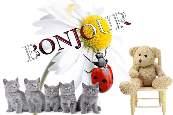 Bonjour A Tous... :)