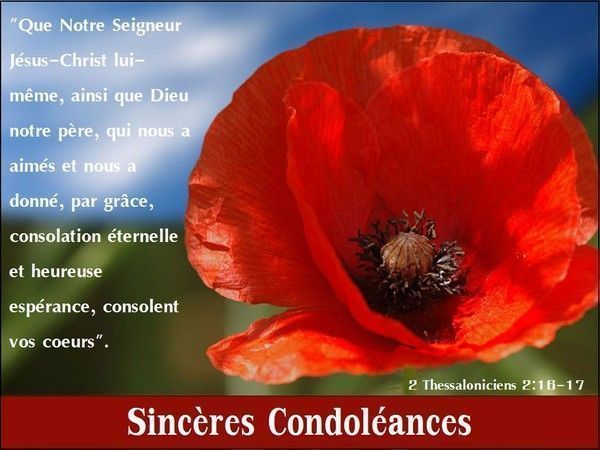 Carte "condoléances"