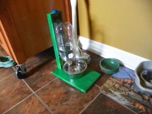 DIY Dog Water Fountain