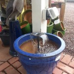 DIY Drinking Fountain